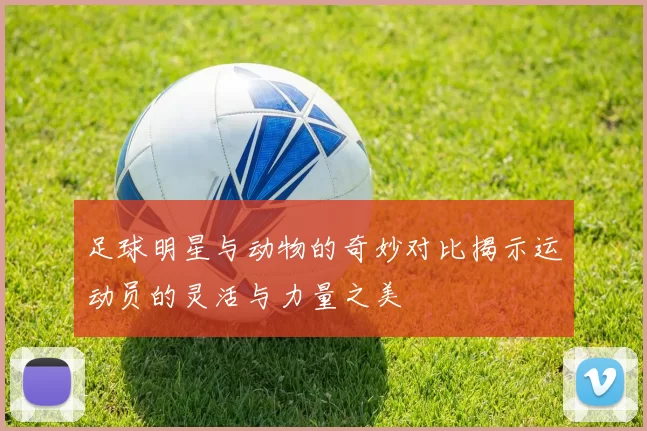 足球明星与动物的奇妙对比揭示运动员的灵活与力量之美