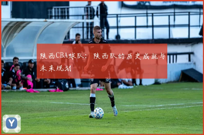 陕西CBA球队：陕西队的历史成就与未来规划