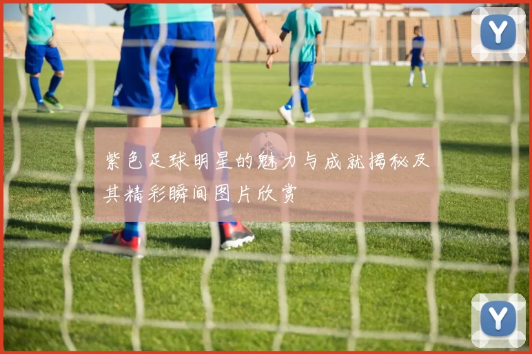 紫色足球明星的魅力与成就揭秘及其精彩瞬间图片欣赏