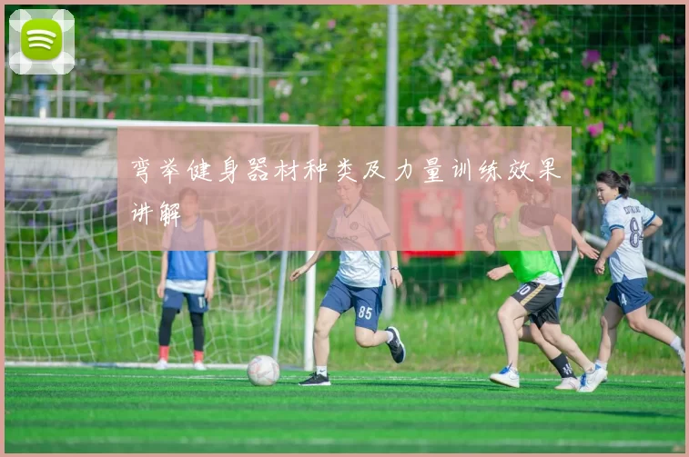 弯举健身器材种类及力量训练效果讲解