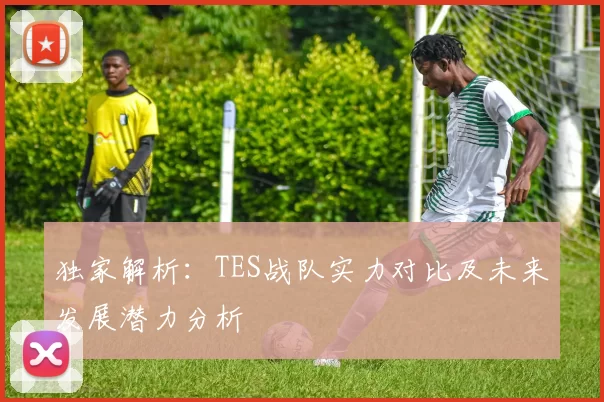 独家解析：TES战队实力对比及未来发展潜力分析