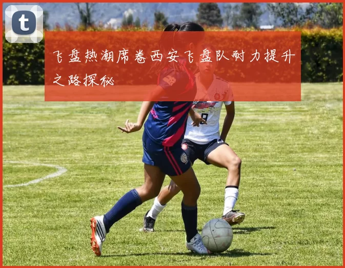 飞盘热潮席卷西安飞盘队耐力提升之路探秘