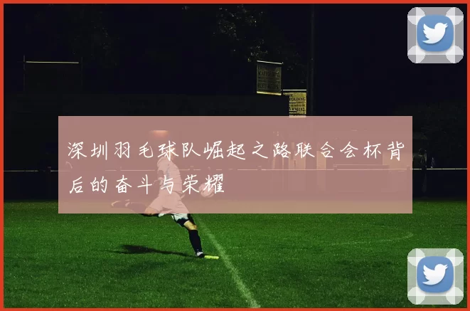 深圳羽毛球队崛起之路联合会杯背后的奋斗与荣耀