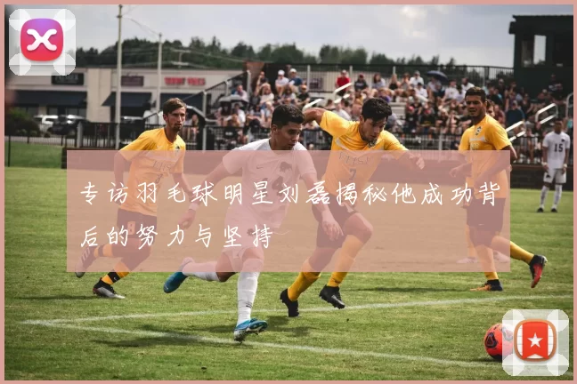专访羽毛球明星刘磊揭秘他成功背后的努力与坚持