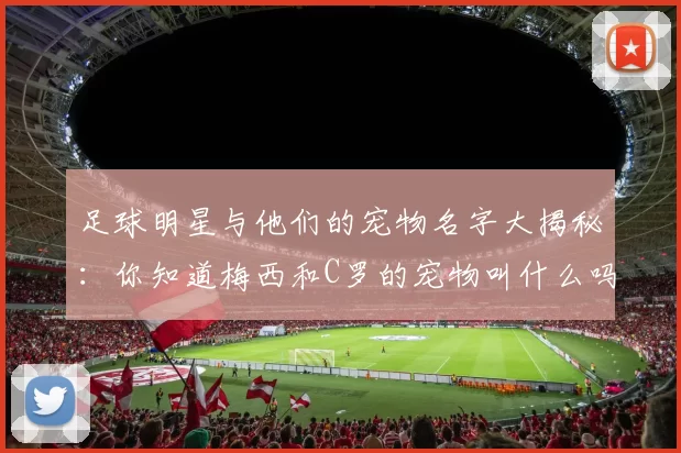 足球明星与他们的宠物名字大揭秘：你知道梅西和C罗的宠物叫什么吗