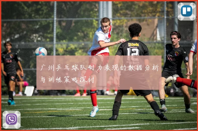 广州乒乓球队耐力表现的数据分析与训练策略探讨