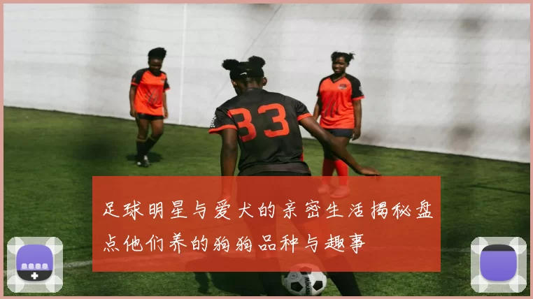 足球明星与爱犬的亲密生活揭秘盘点他们养的狗狗品种与趣事