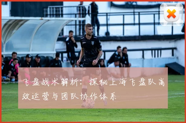 飞盘战术解析：探秘上海飞盘队高效运营与团队协作体系