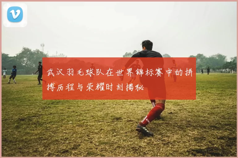 武汉羽毛球队在世界锦标赛中的拼搏历程与荣耀时刻揭秘
