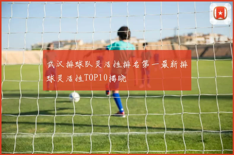 武汉排球队灵活性排名第一最新排球灵活性TOP10揭晓