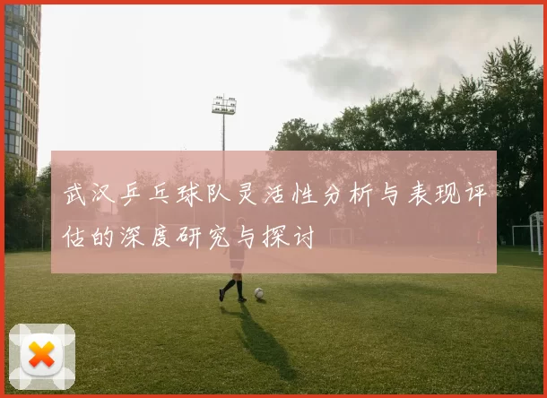 武汉乒乓球队灵活性分析与表现评估的深度研究与探讨