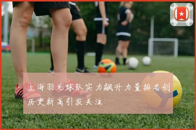 上海羽毛球队实力飙升力量排名创历史新高引发关注