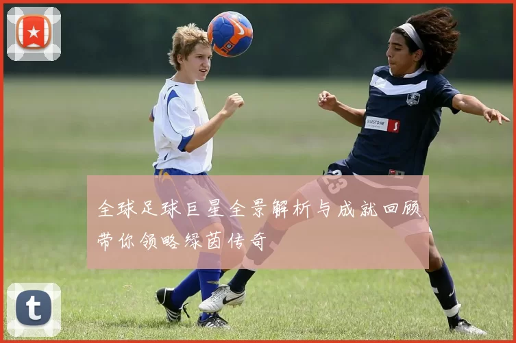 全球足球巨星全景解析与成就回顾带你领略绿茵传奇