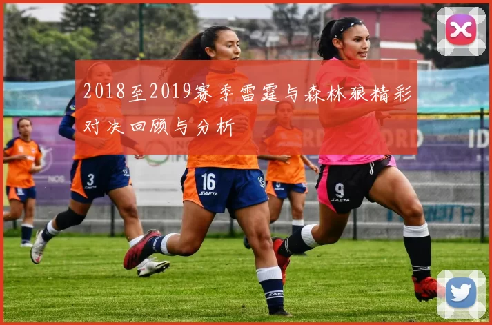2018至2019赛季雷霆与森林狼精彩对决回顾与分析