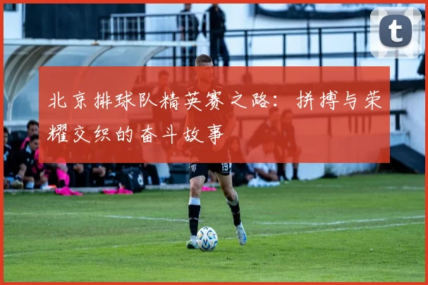 北京排球队精英赛之路：拼搏与荣耀交织的奋斗故事