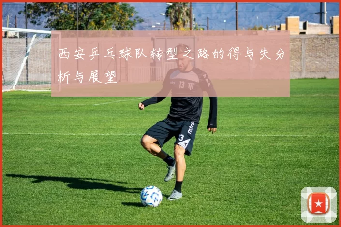 西安乒乓球队转型之路的得与失分析与展望